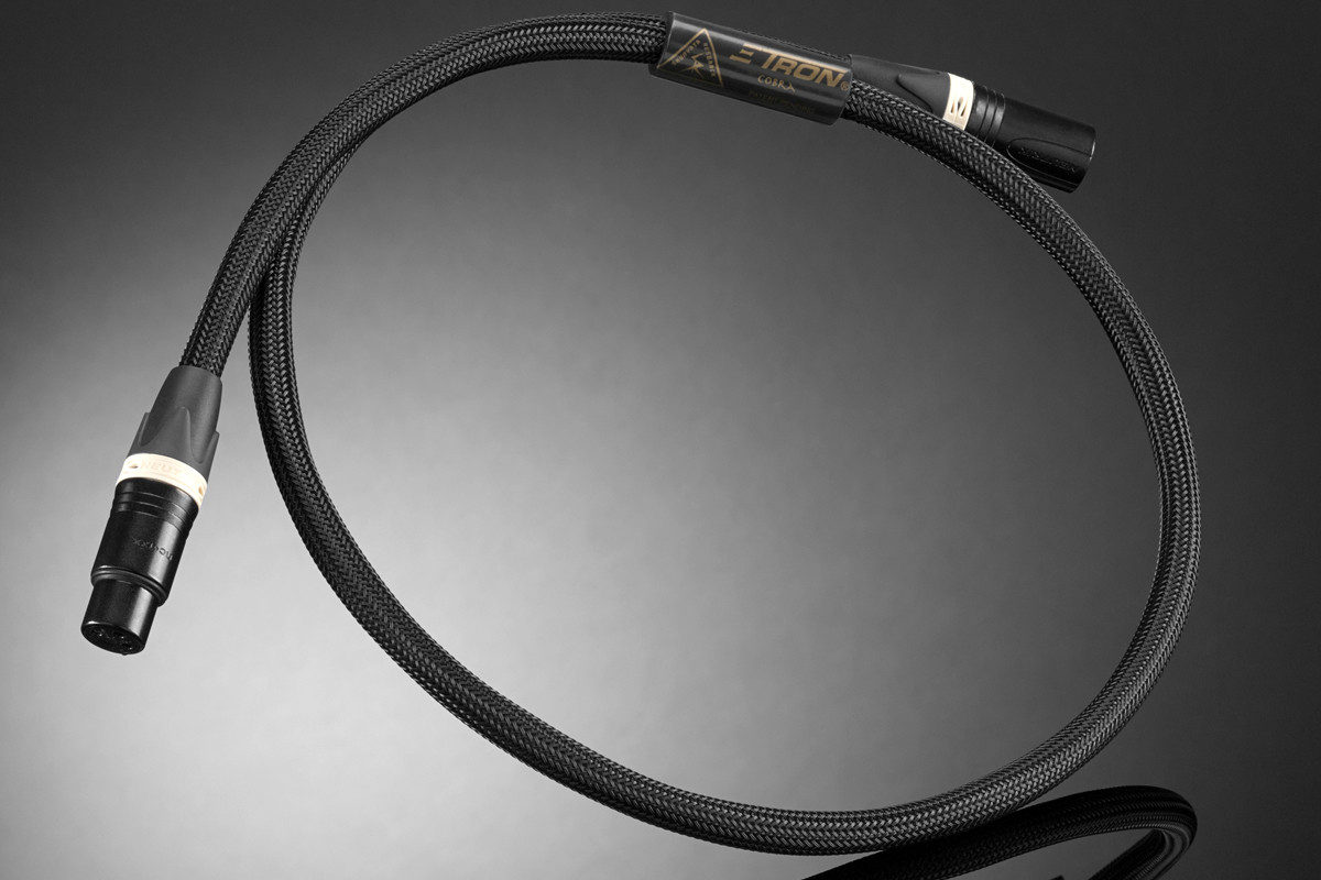 Shunyata Research ZTron Cobra IC